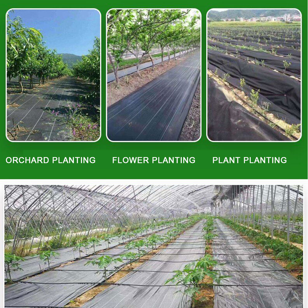 Tecido PE Tecido de Controle d - Smart Garden Greenhouse avaliação e preço